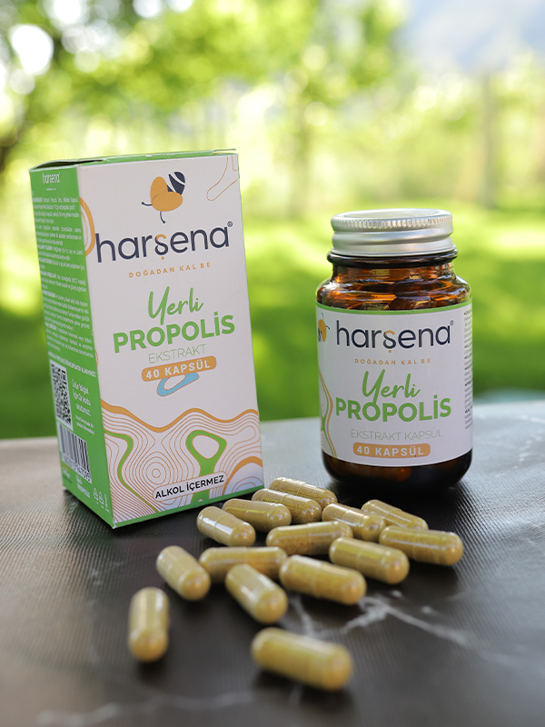 Extract Propolis 40 Capsules